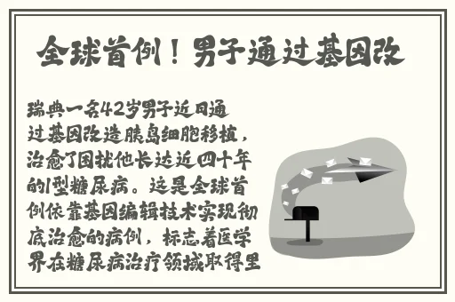 老男孩美版完整视频